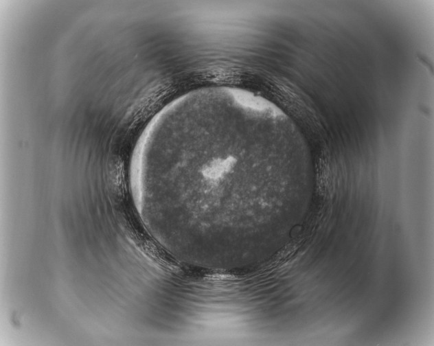 X0000102520748200808291756