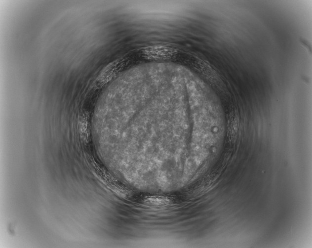 X0000102520749200808291756