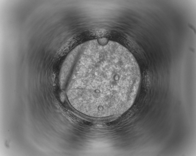 X0000102520750200808291756