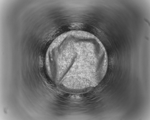 X0000102520751200808291756