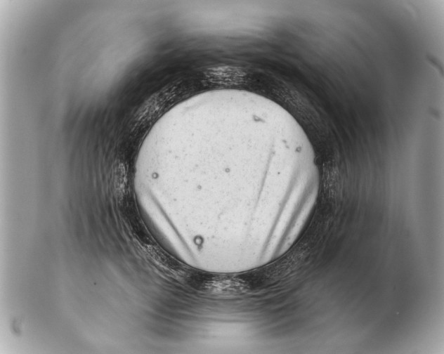 X0000102520752200808291757