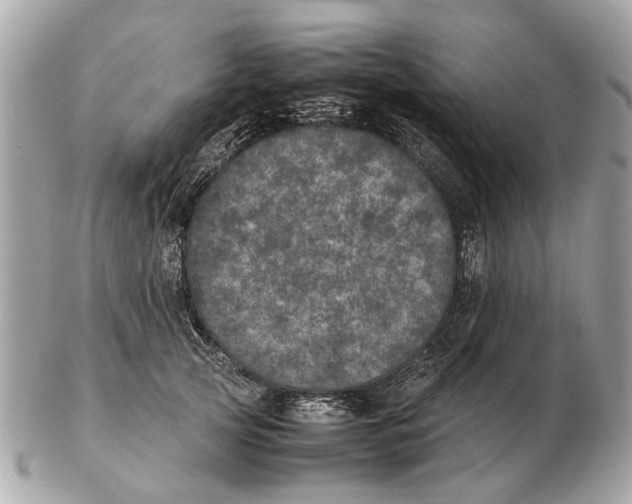 X0000102520753200808291757