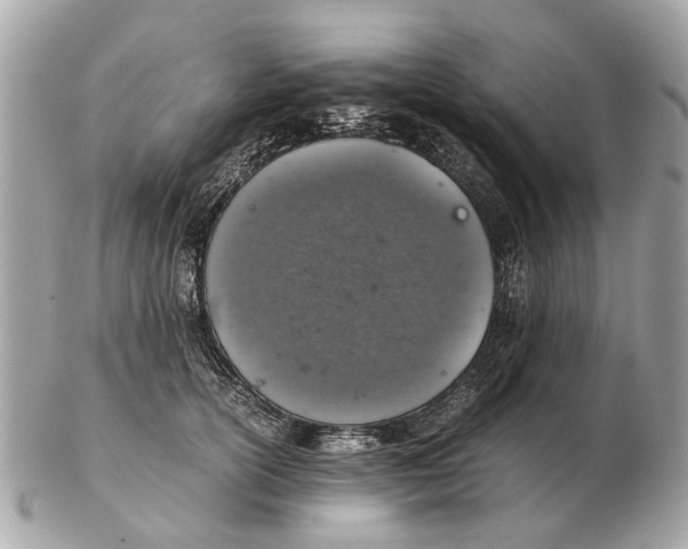 X0000102520754200808291757