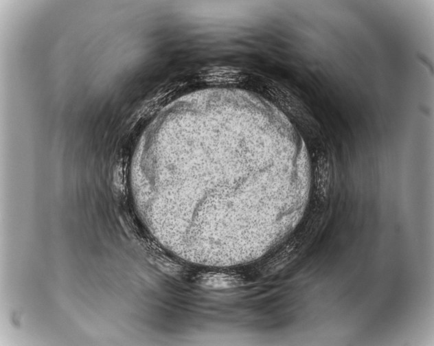 X0000102520755200808291757