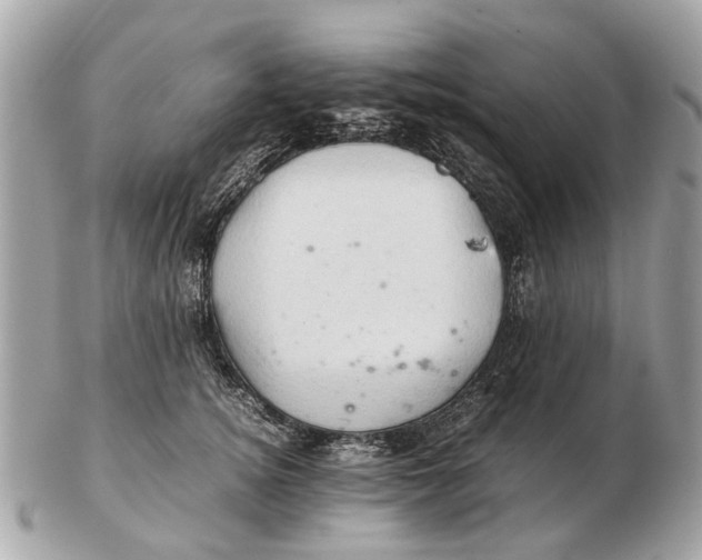 X0000102520756200808291757