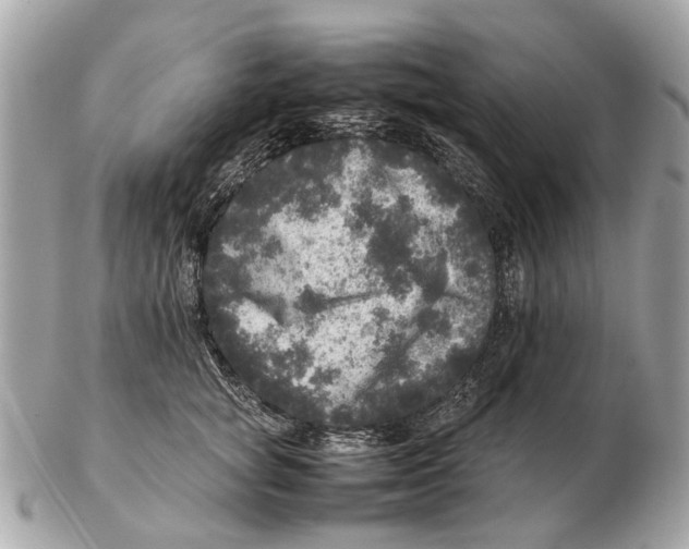 X0000102520757200808291757