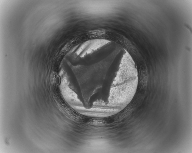 X0000102520758200808291757