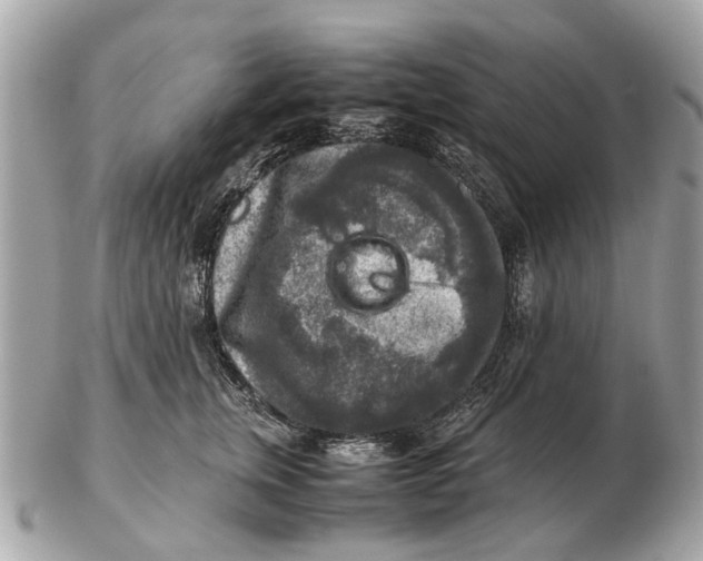 X0000102520759200808291757