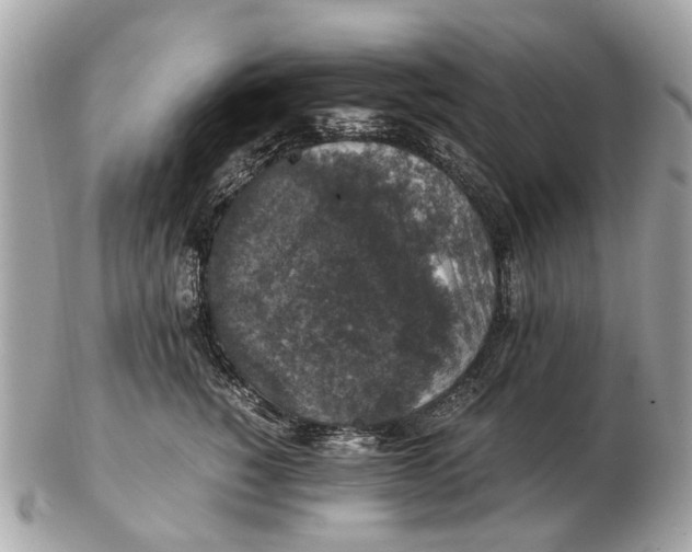 X0000102520760200808291757