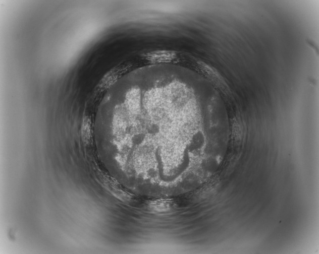 X0000102520761200808291757