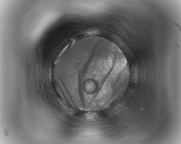 X0000102520762200808291757