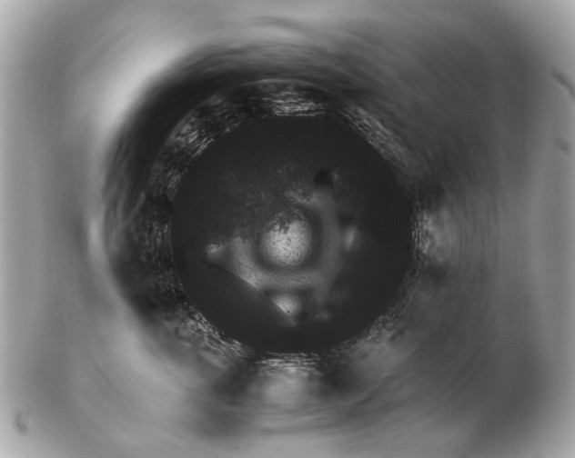 X0000102520763200808291757