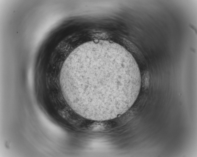 X0000102520764200808291757