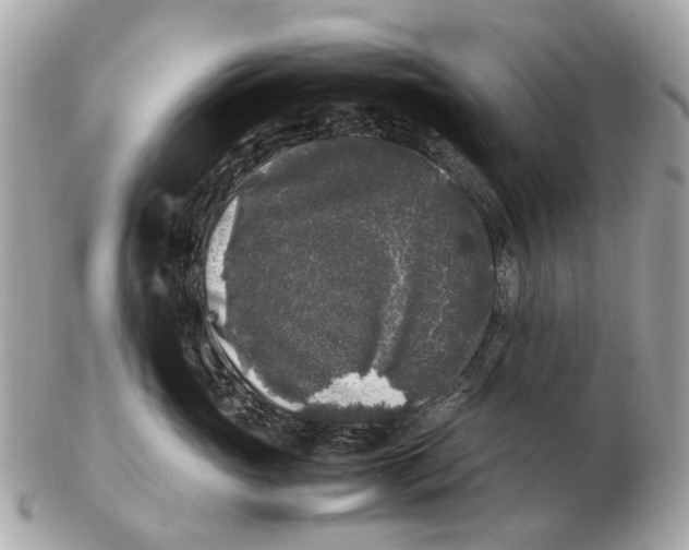 X0000102520765200808291757