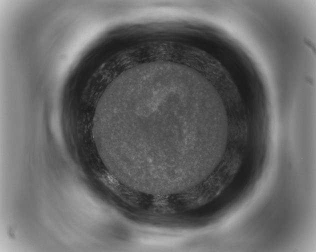 X0000102520766200808291757