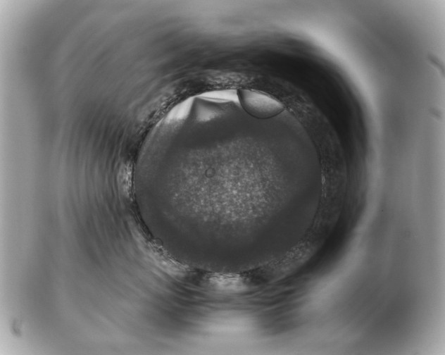 X0000102520767200808291757