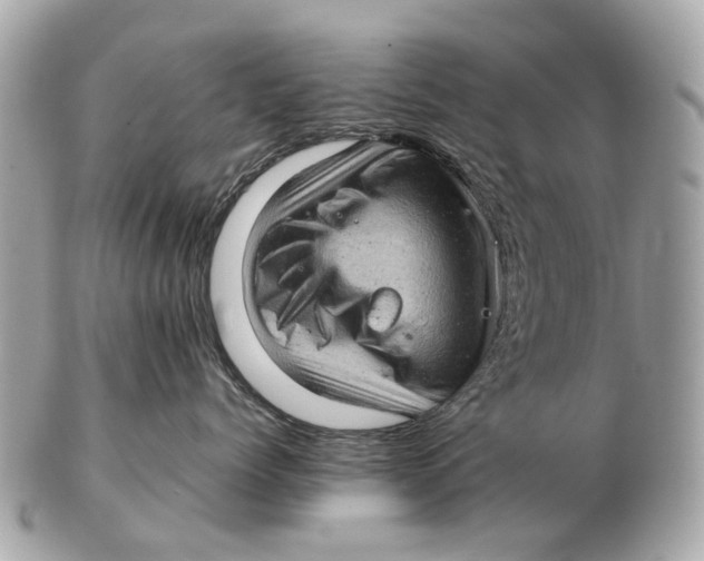 X0000102520768200808291757