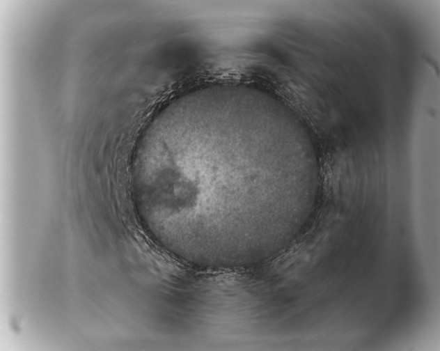 X0000102520769200808291756