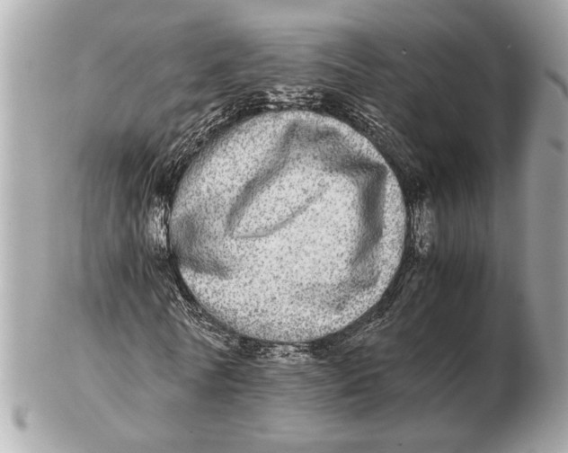 X0000102520770200808291756