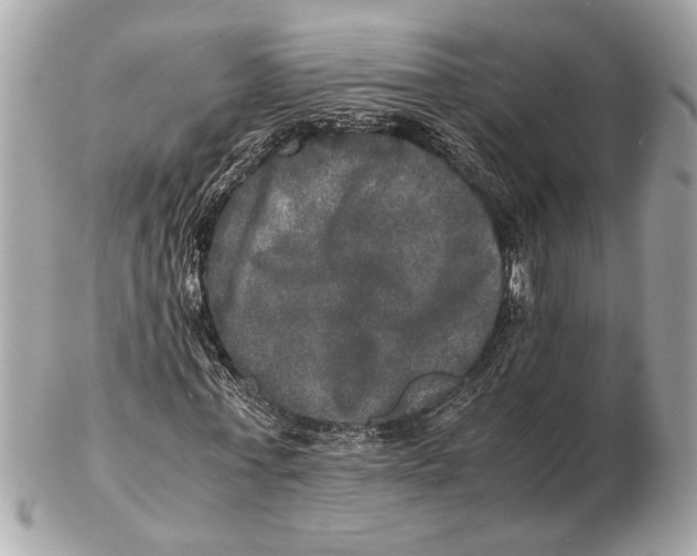 X0000102520771200808291756