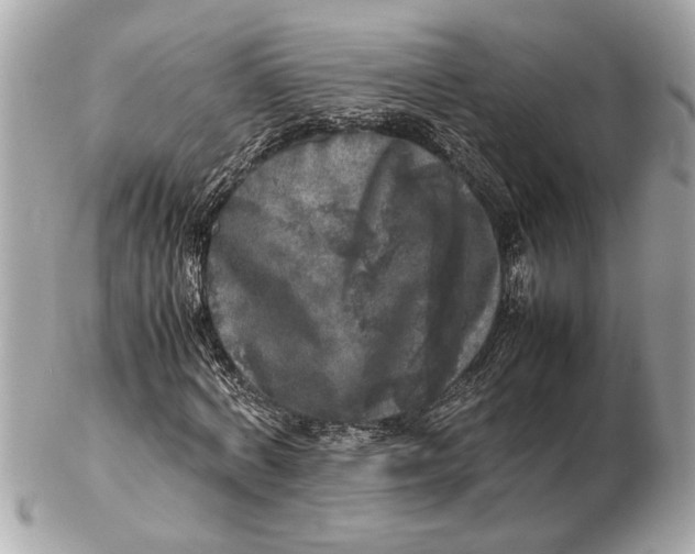 X0000102520772200808291756