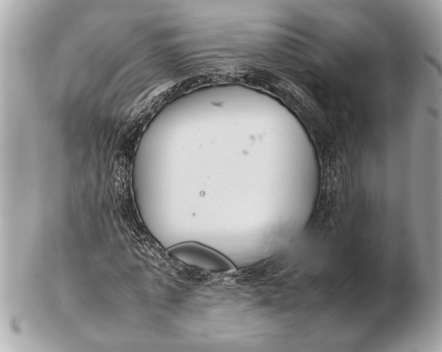 X0000102520773200808291756