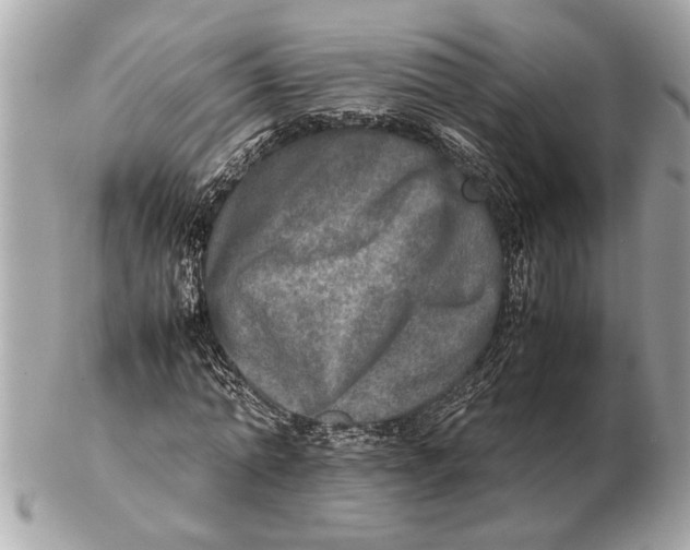 X0000102520774200808291756