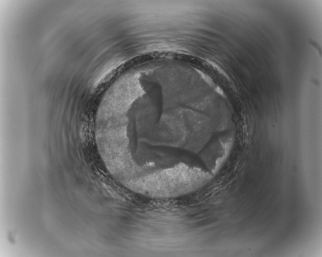 X0000102520775200808291756