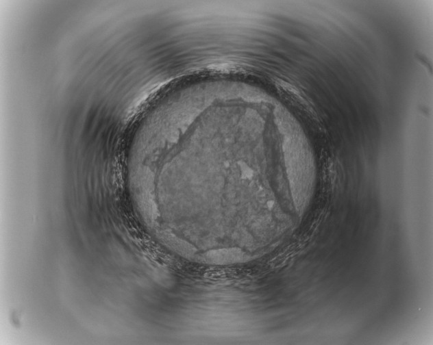 X0000102520776200808291756