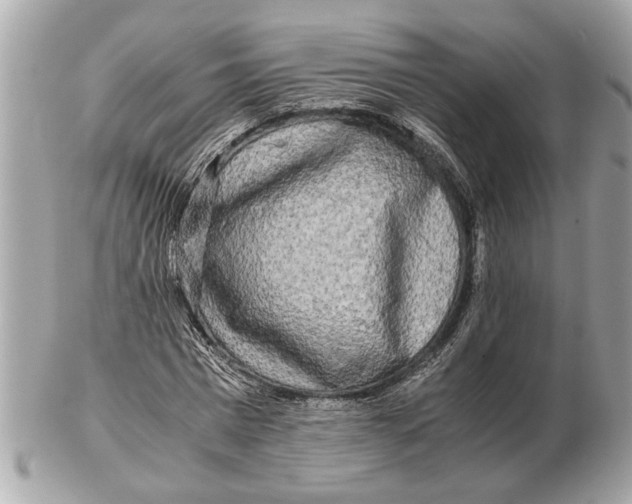 X0000102520777200808291756