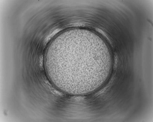 X0000102520778200808291756