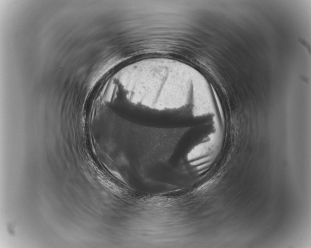 X0000102520779200808291756