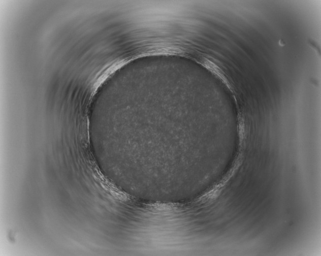 X0000102520781200808291756