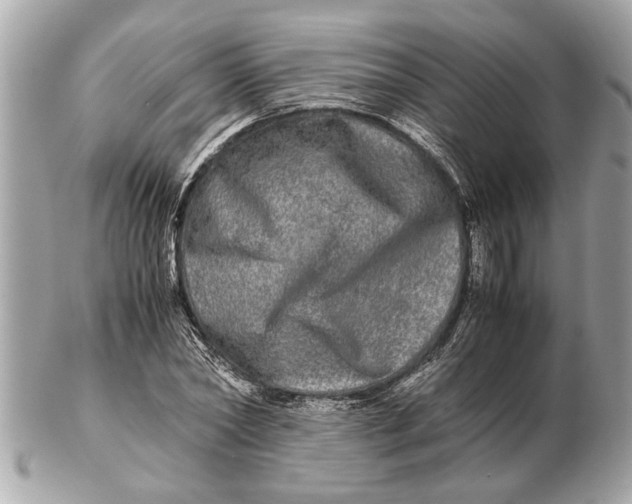 X0000102520782200808291756