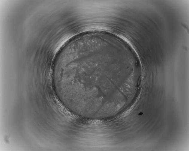 X0000102520783200808291756