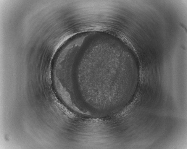 X0000102520784200808291756