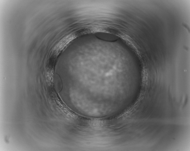 X0000102520785200808291756