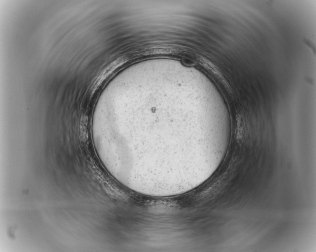 X0000102520786200808291756