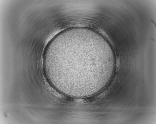 X0000102520787200808291756