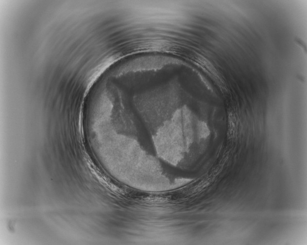 X0000102520788200808291756