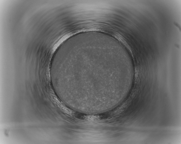 X0000102520789200808291756