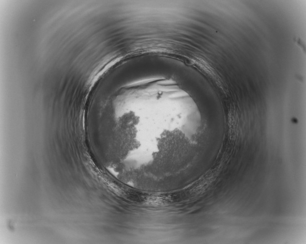 X0000102520790200808291756