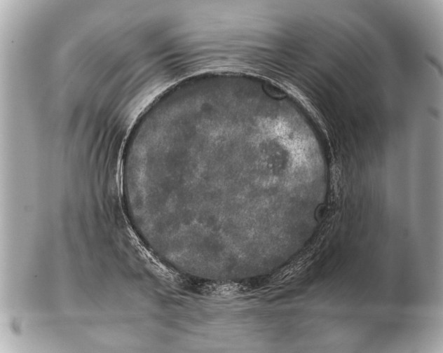 X0000102520791200808291756