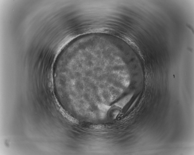 X0000102520792200808291756