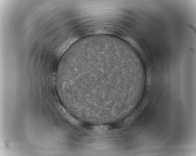 X0000102520793200808291756