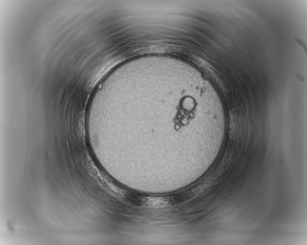 X0000102520794200808291756