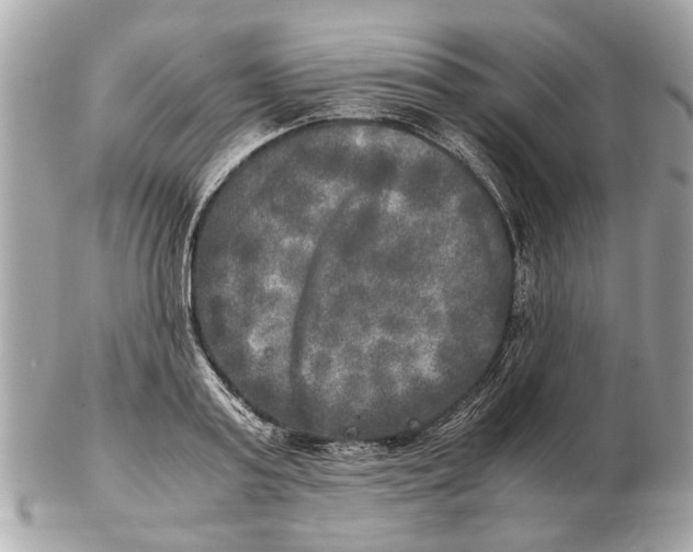 X0000102520795200808291756