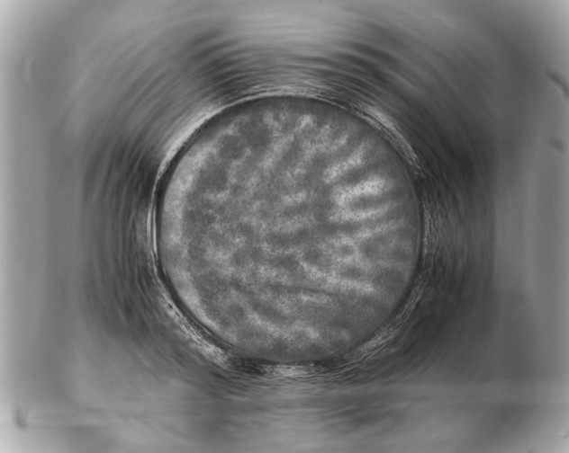 X0000102520796200808291756