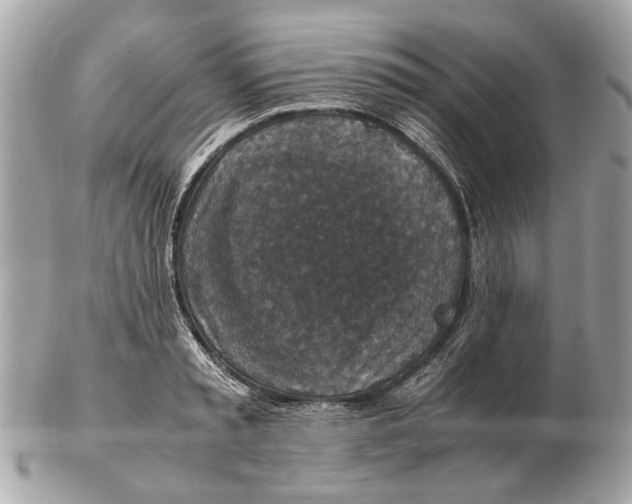 X0000102520797200808291756