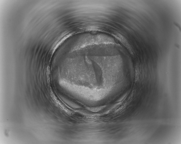 X0000102520798200808291756